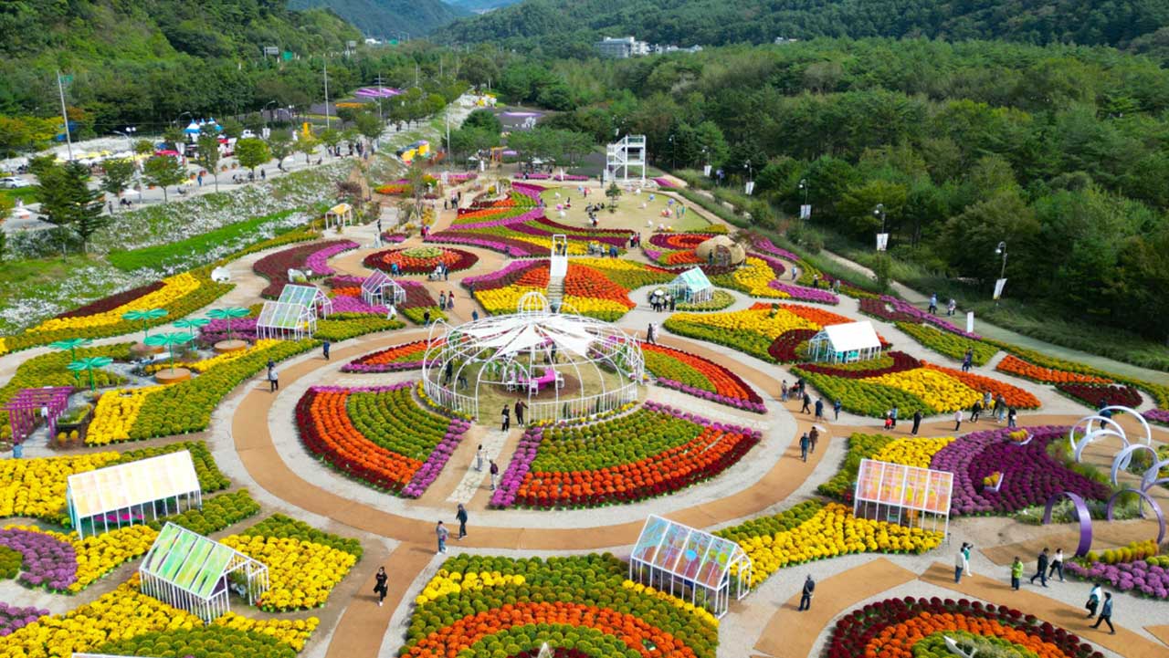 인제가을꽃축제장에는 마편초, 맨드라미, 페튜니아 등 다양한 꽃들이 있다. / 인제군