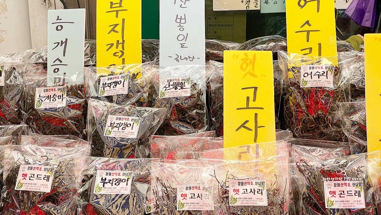 . / 강원도