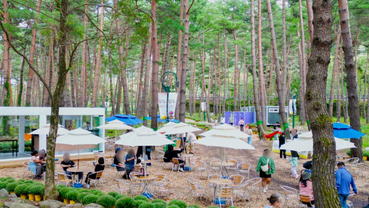 숲속에 마련된 휴식 공간에서 파라솔 아래 여유롭게 휴식을 취하며 축제를 즐기는 관람객들. / 인제군