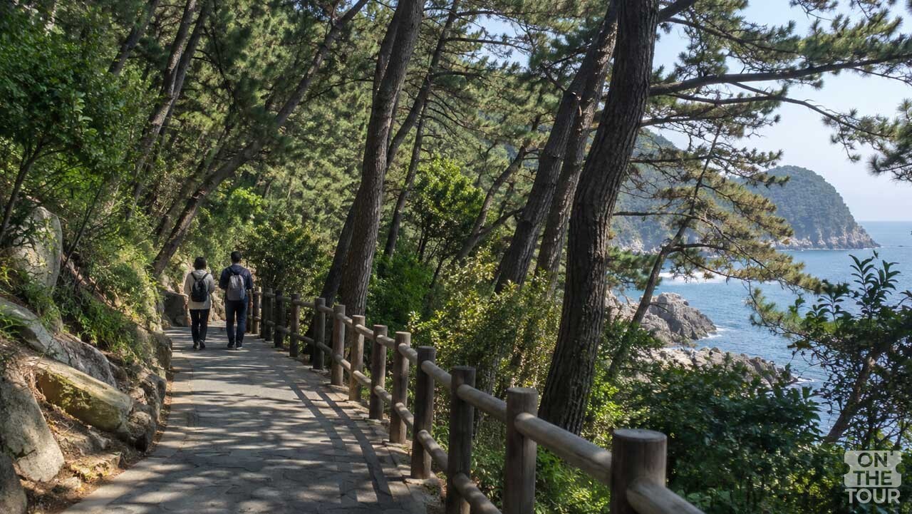 울창한 해송 사이로 바다가 내려다보이는 태종대 해안 숲길. (AI 생성) / 온더투어