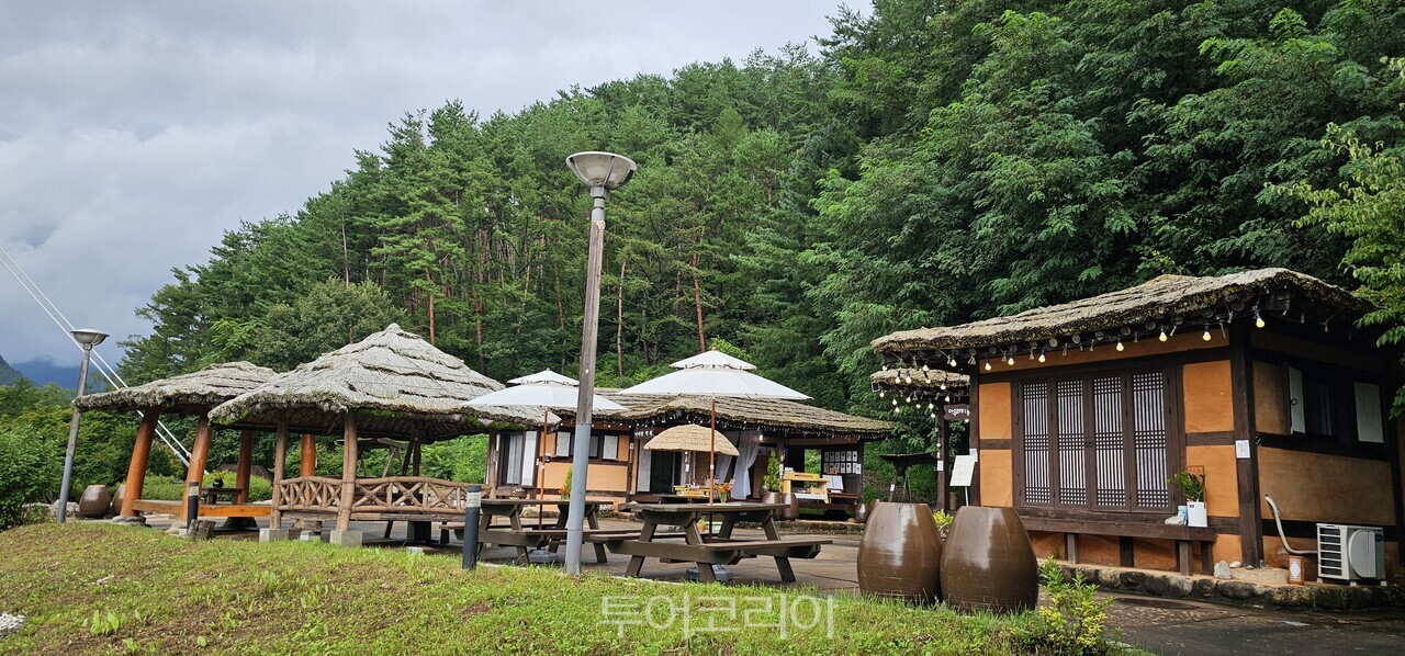 아리랑카페/ 사진-정선군