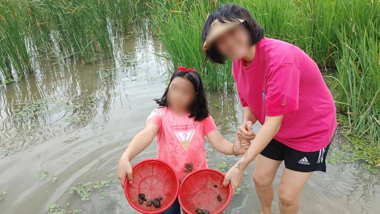 우렁이 등 물속 생물들을 아이와 보호자가 함께 살펴보며 체험하는 모습. / 창녕군청
