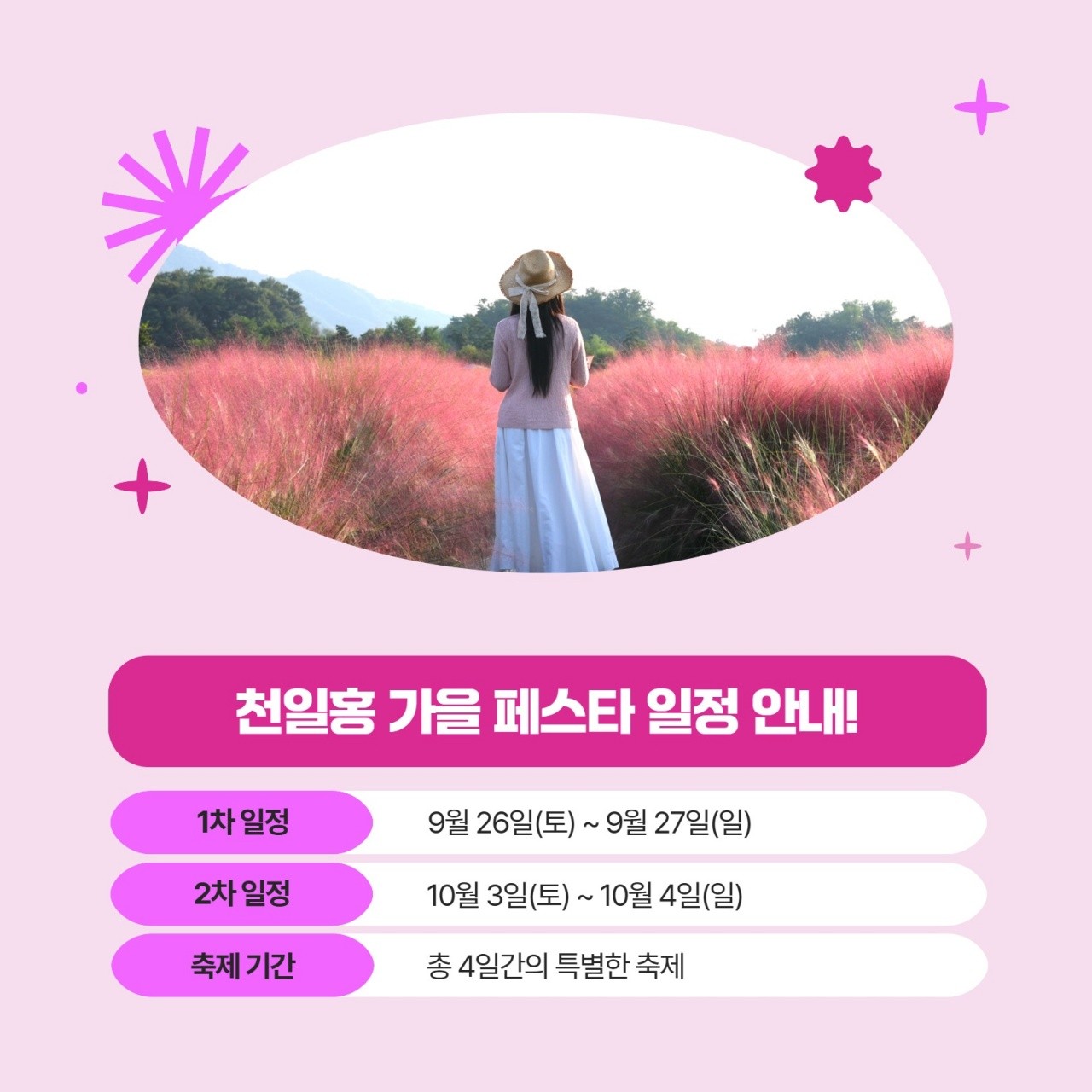 양주 나리공원 천일홍 축제. / 양주시농업기술센터 인스타그램