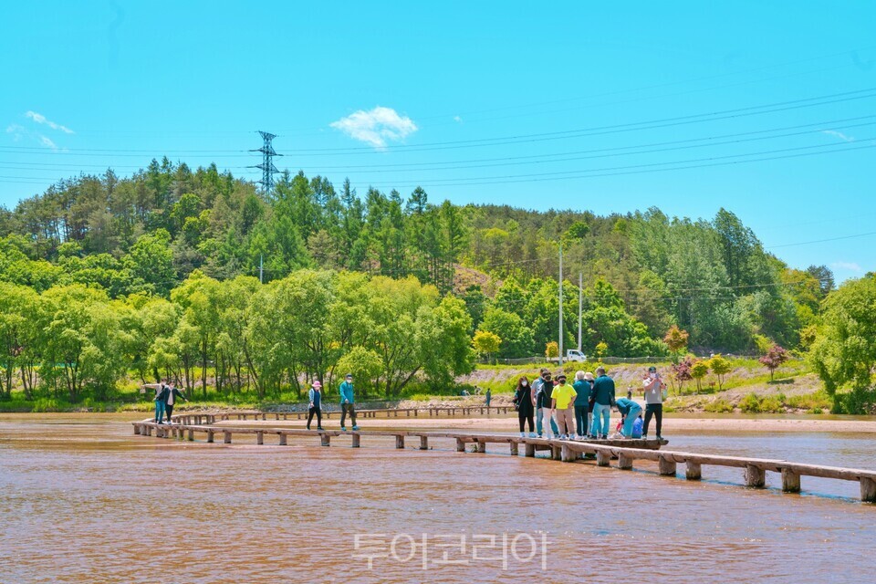 무섬마을 외나무다리를 건너는 사람들/사진=경북 문화관광공사