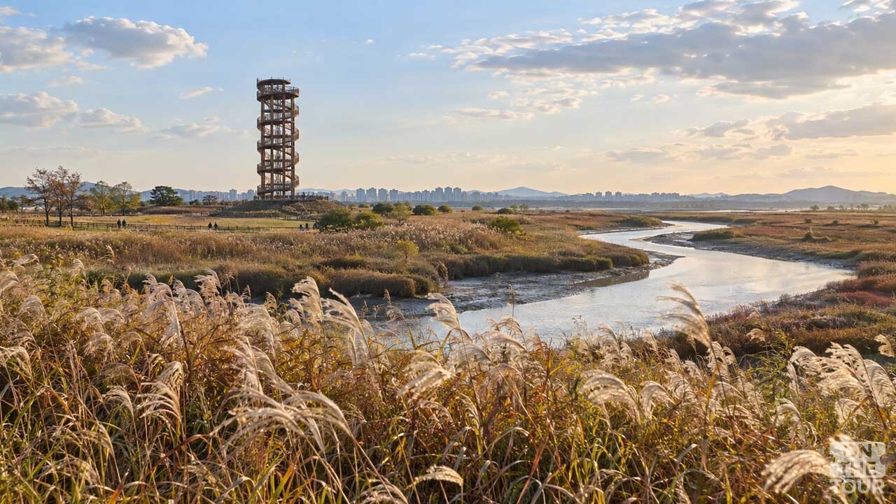 경기 시흥 갯골생태공원의 갈대밭 너머로 흔들전망대가 보이는 모습. (AI 생성) / 온더투어