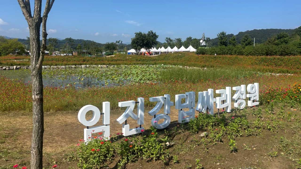 가을꽃밭 사이에 설치된 임진강 댑싸리정원 조형물과 정원 풍경. / 연천군