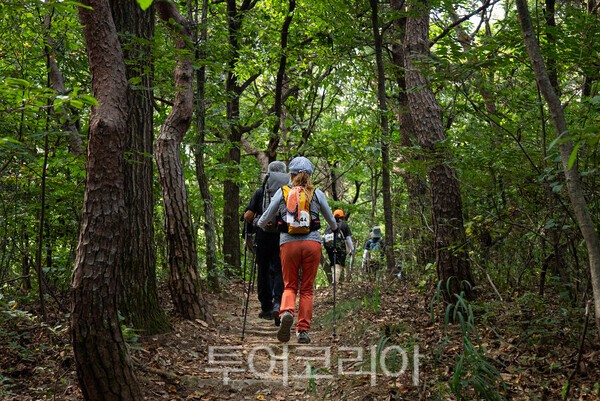 경북 백두대간 트레일6 챌린지’ 모습/사진 경북문화관광공사