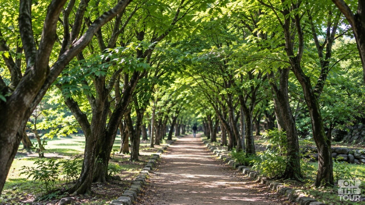 내장산 국립공원 산책로. (AI 생성) / 온더투어