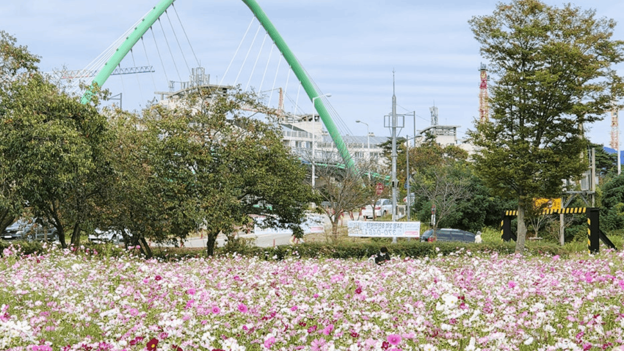 . / 전남광주