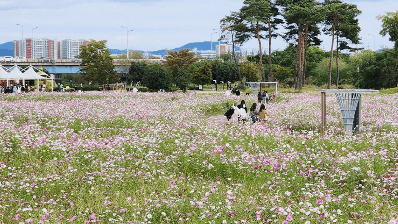 . / 전남광주