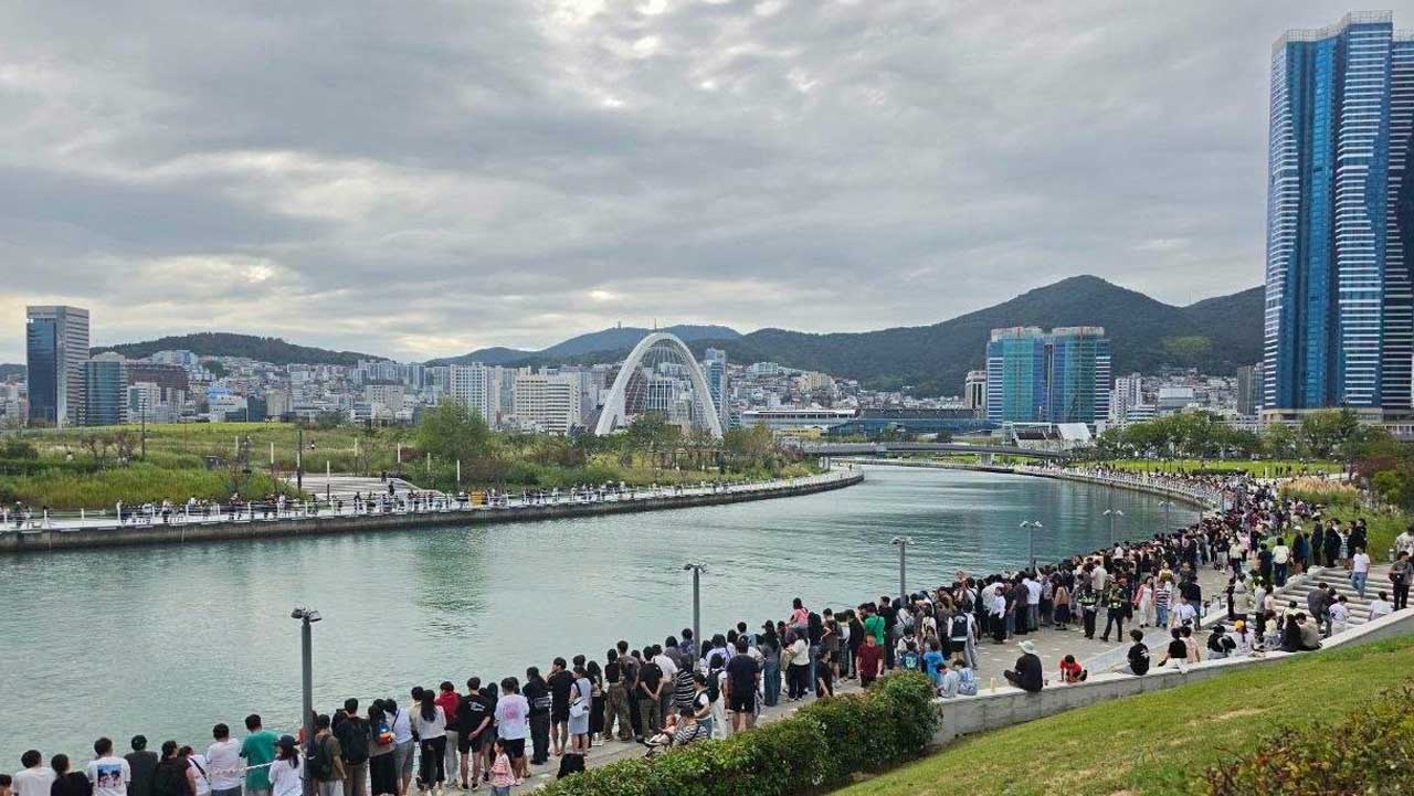 상어를 보기 위해 북항 친수공원 수로 주변에 모인 시민들. / 전재수 부산시장 SNS