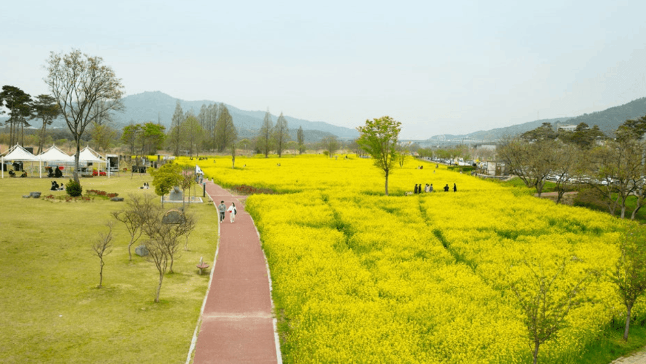 . / 전남광주
