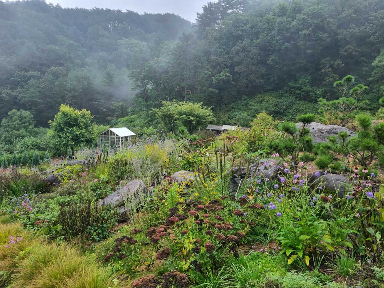 강원 산골 찍박골정원. / 사진=산림청