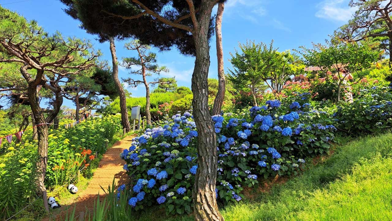 청주 공간정원. / 사진=산림청
