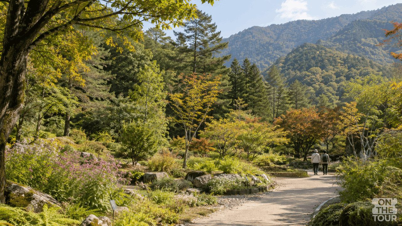 오대산 자락 숲과 초가을 꽃이 어우러진 국립한국자생식물원 산책길. (AI 생성) / 온더투어
