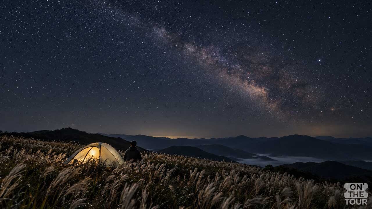 은빛 억새밭 위로 은하수가 펼쳐진 합천 황매산의 가을밤. (AI 생성) / 온더투어