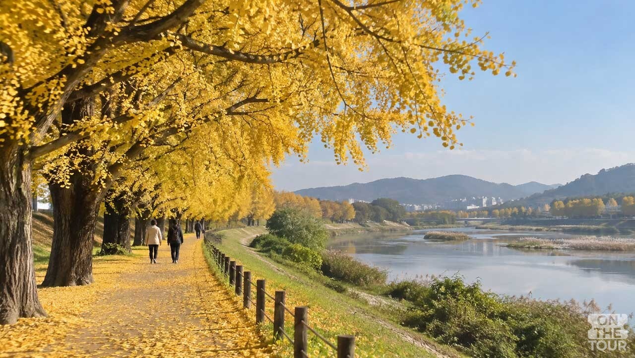 곡교천을 따라 황금빛 은행나무 터널이 길게 펼쳐진 충남 아산 은행나무길. (AI 생성) / 온더투어