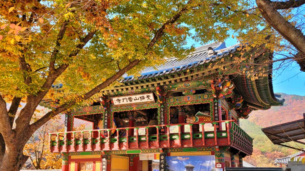 가을 단풍 아래 자리한 운문사 범종루. / 청도군 SNS