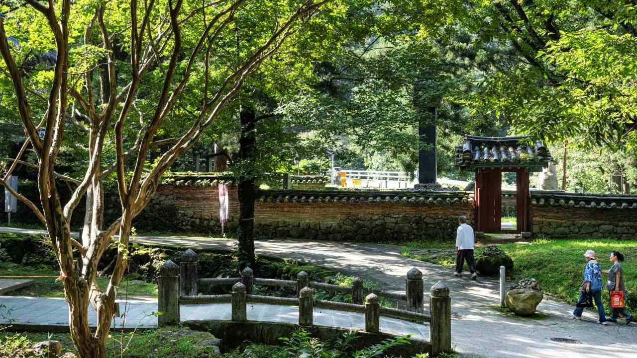 오래된 돌담과 나무가 이어지는 쌍계사 경내 산책길. / 쌍계사 홈페이지