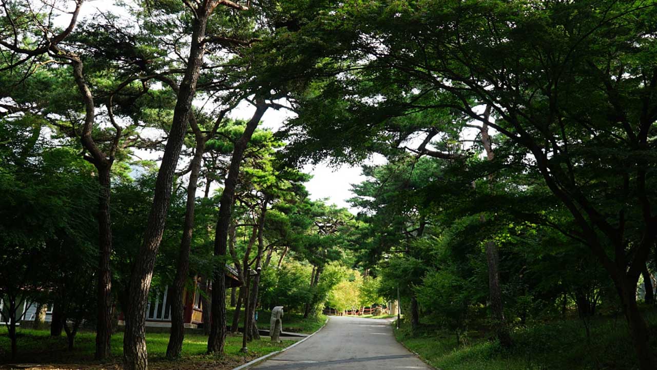 수덕사 산책로. / 예산군