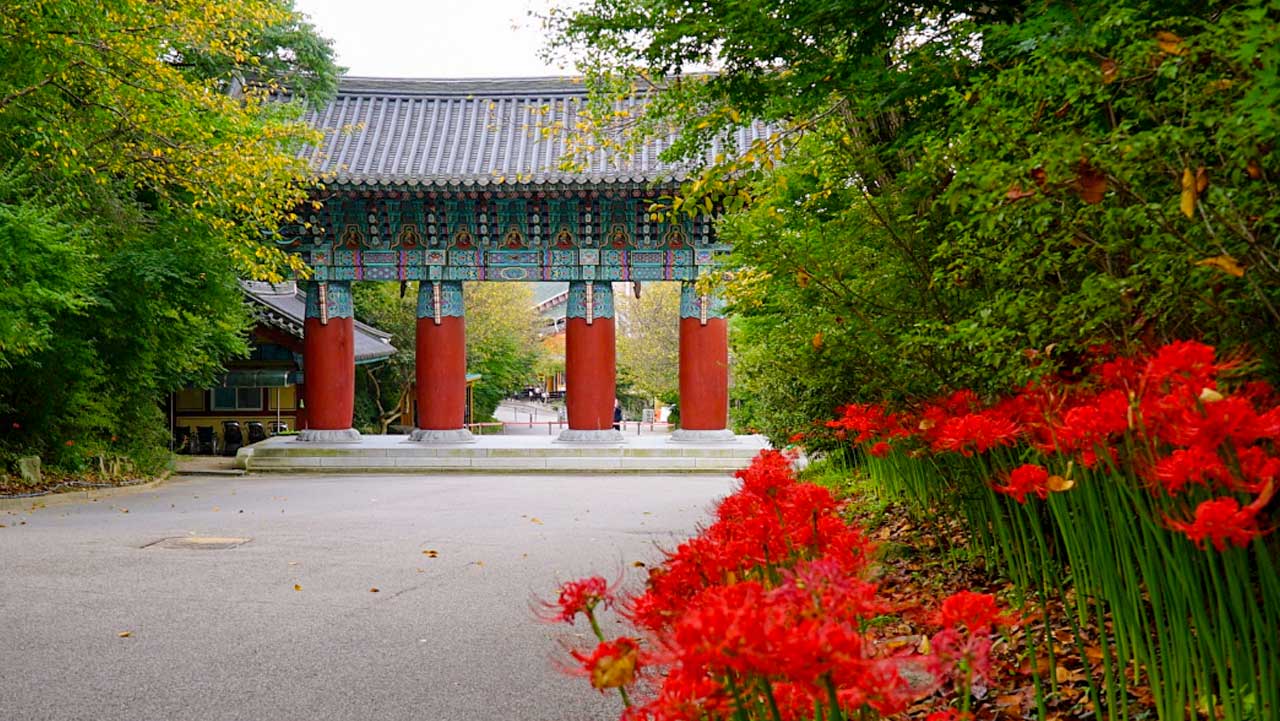 . / 예산군