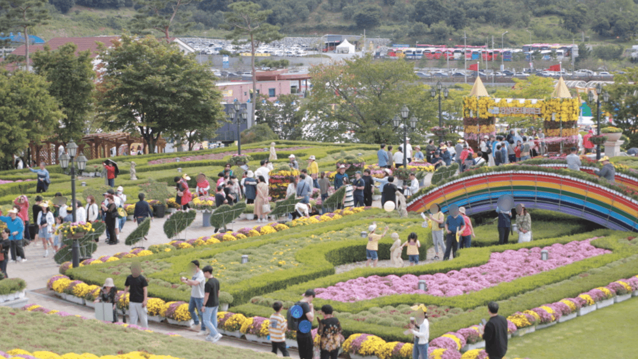 가을 국화로 가득 채워진 임실치즈테마파크 정원을 방문객들이 걷고 있다. / 임실N치즈축제 제전위원회