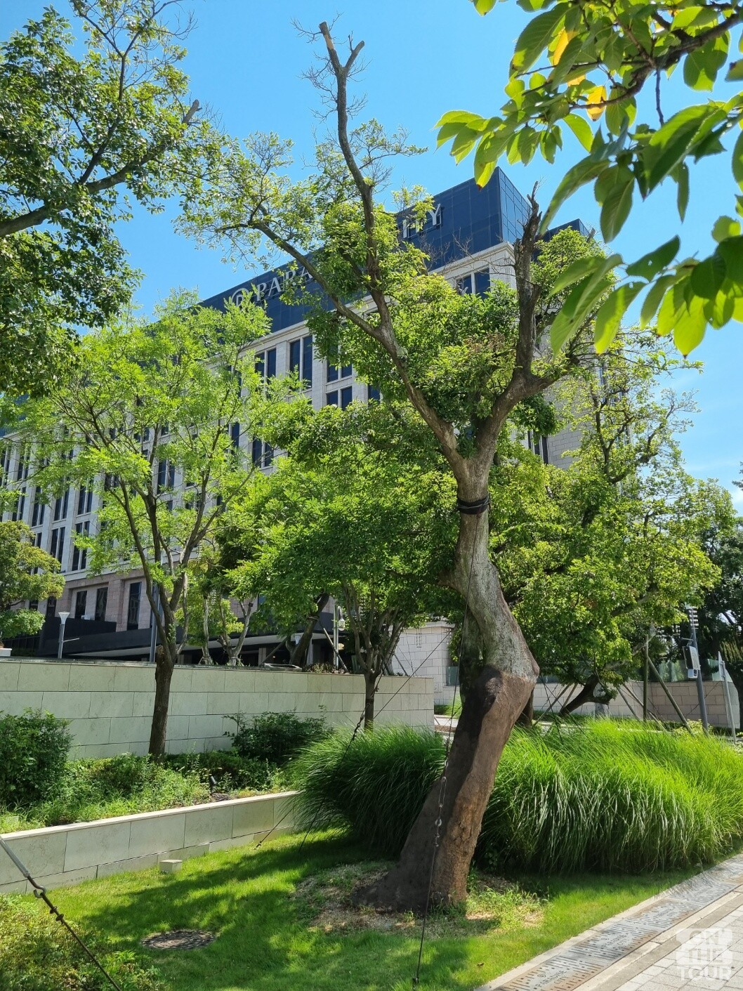 파라다이스시티에서 직접 촬영한 사진. / 사진=온더투어