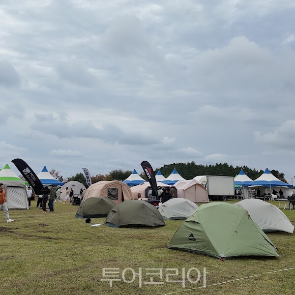 지난해 행사 모습/사진=헤남군
