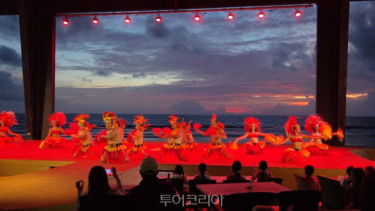 타오타오타씨 디너쇼