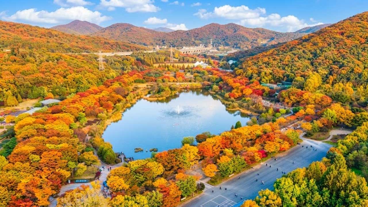 울긋불긋한 단풍으로 물든 인천대공원과 호수 전경. / 인천투어, ai