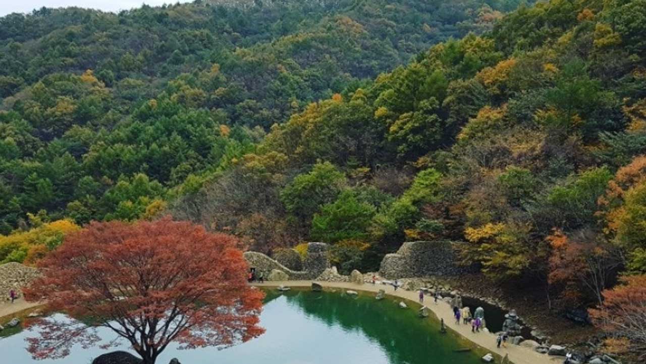 붉게 물든 단풍나무와 연못을 따라 걷는 삼성궁 관람객들. / 하동군