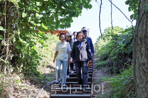 예단포 둘레길 계단 / 사진 -영종구