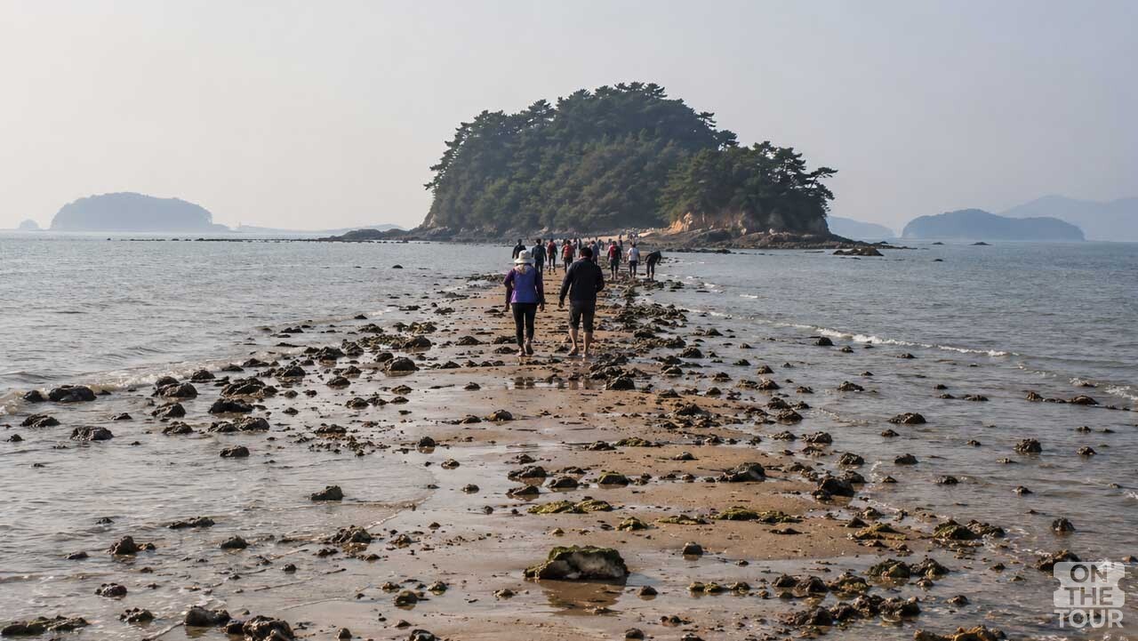 물이 빠진 보령 무창포해수욕장에서 섬 방향으로 이어진 바닷길. (AI 생성) / 온더투어