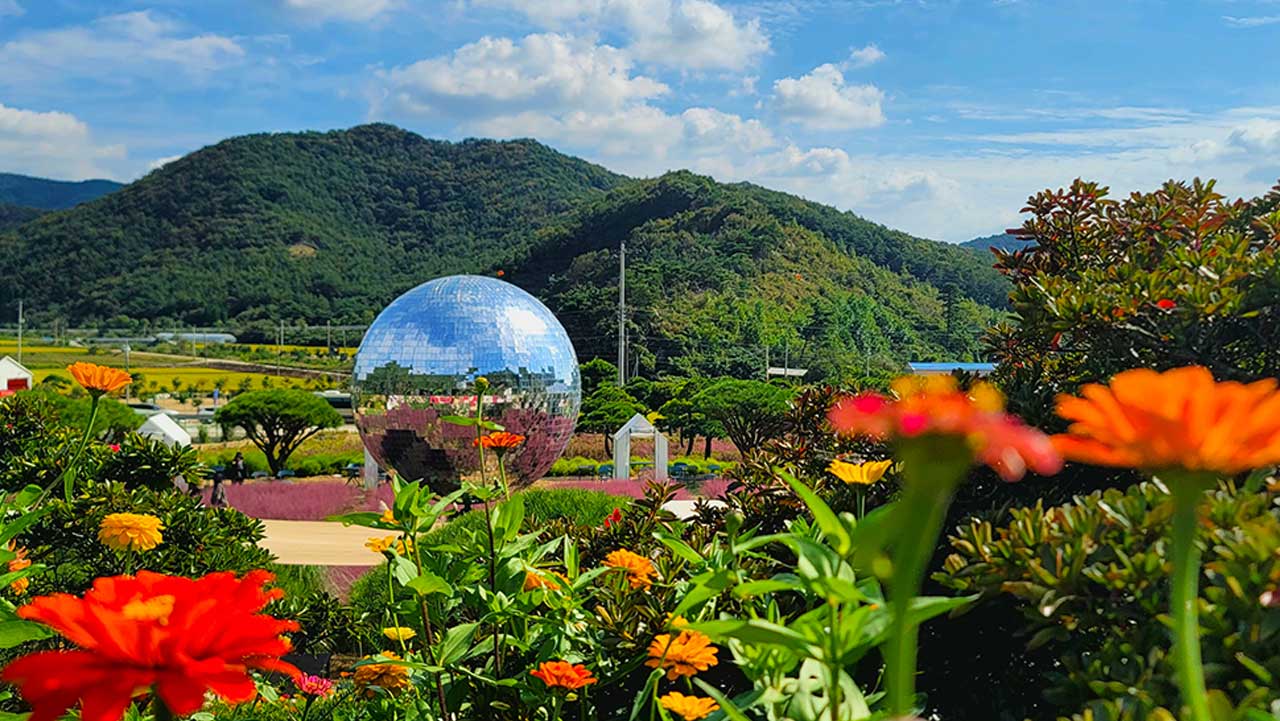 화사하게 피어난 알록달록한 꽃들 너머로 핑크뮬리와 조형물이 어우러진 고창 핑크뮬리 축제. / 투어전북 