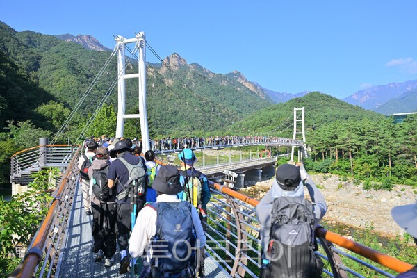 성수기 설악향기로 전경 /사진= 속초시