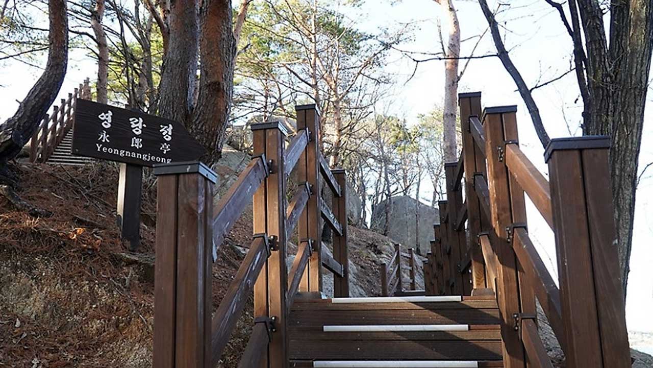 영랑정으로 향하는 산책로가 이어지는 나무 계단과 안내 표지판. / 속초시