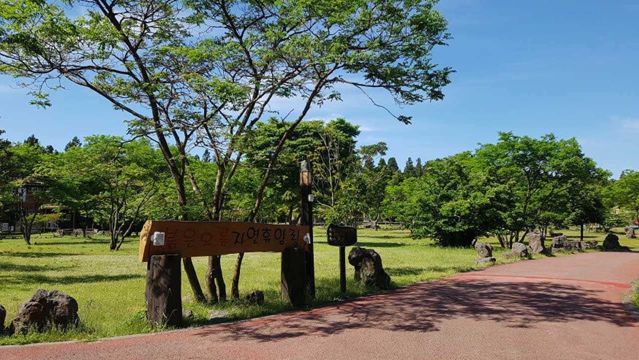 붉은오름자연휴양림 잔디광장. / 제주도청