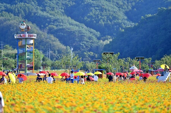 아름다운 가을 정원을 보기 위해 몰려든 관광객들/ 사진=청송군