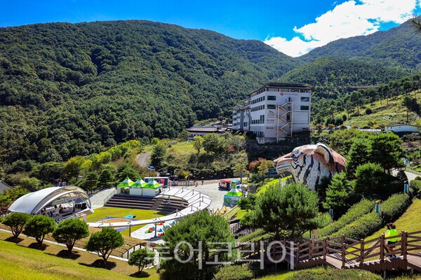 사진 / 산청한방약초축제 행사장_투어코리아 유지훈 기자