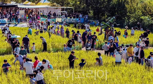 사진 / 완주와일드&로컬푸드축제장에서 메뚜기잡이를 하는 모습_완주군 제공