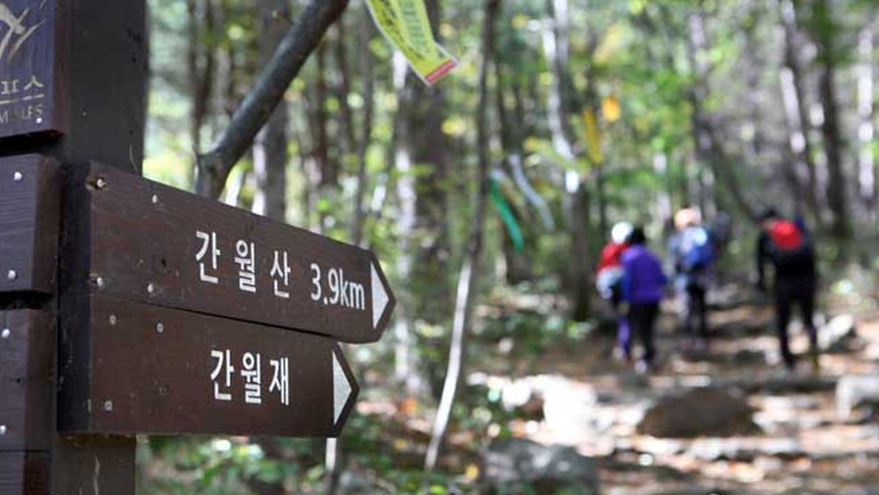 간월산과 간월재 방향을 안내하는 이정표와 숲길을 오르는 등산객들. / 대한민국 구석구석
