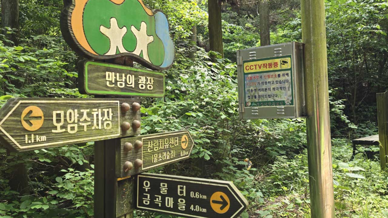 모암주차장과 산림치유센터, 금곡마을 방향을 안내하는 숲속 이정표. / 전남 공식 SNS
