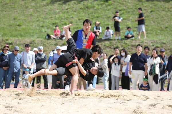 2026 양산삽량문화축전 중 읍면동 대항 삼장수 씨름대회가 열려 시민들의 관심을 받았다./사진-양산시