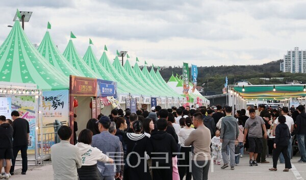 2026 포항 해뜨면 국수축제 현장 모습./사진-포항시