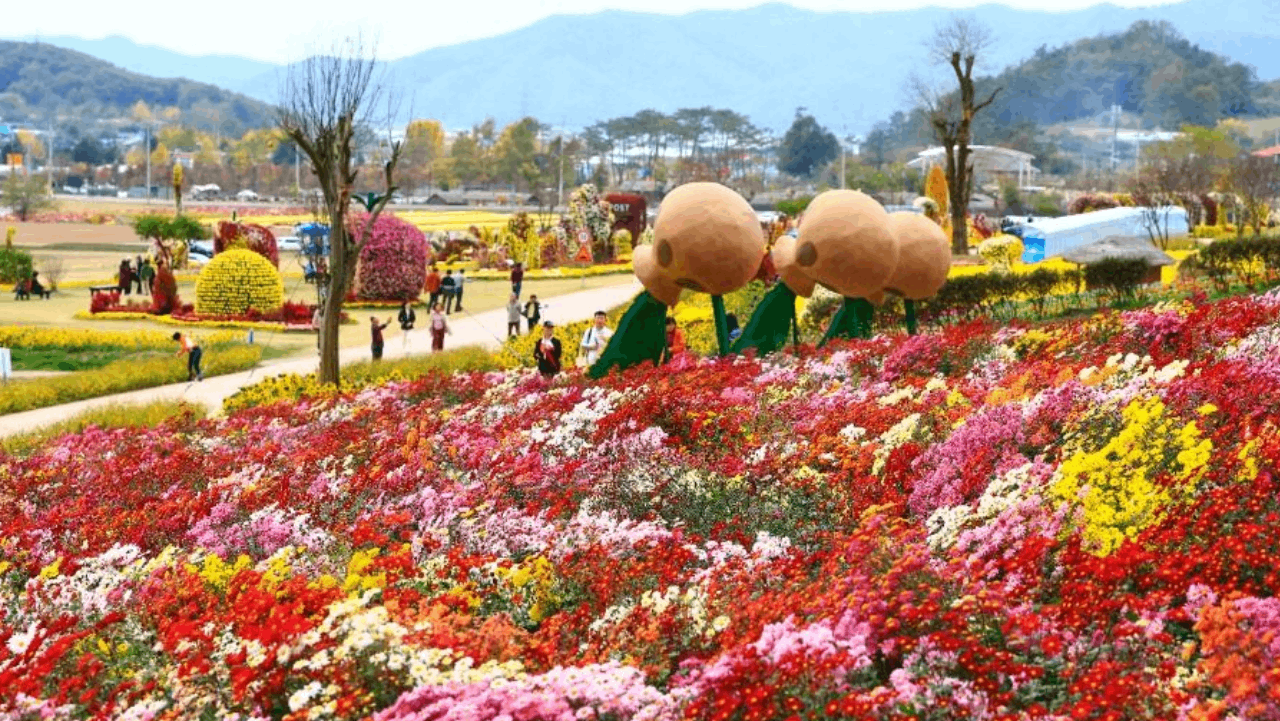 형형색색 가을꽃과 대형 조형물이 어우러진 화순 고인돌 가을꽃 축제장. / 대한민국 구석구석