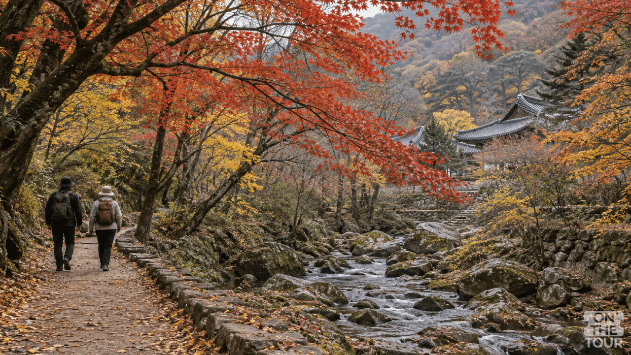 붉고 노란 단풍 사이로 이어지는 장성 백양사 산책길. (AI 생성) / 온더투어