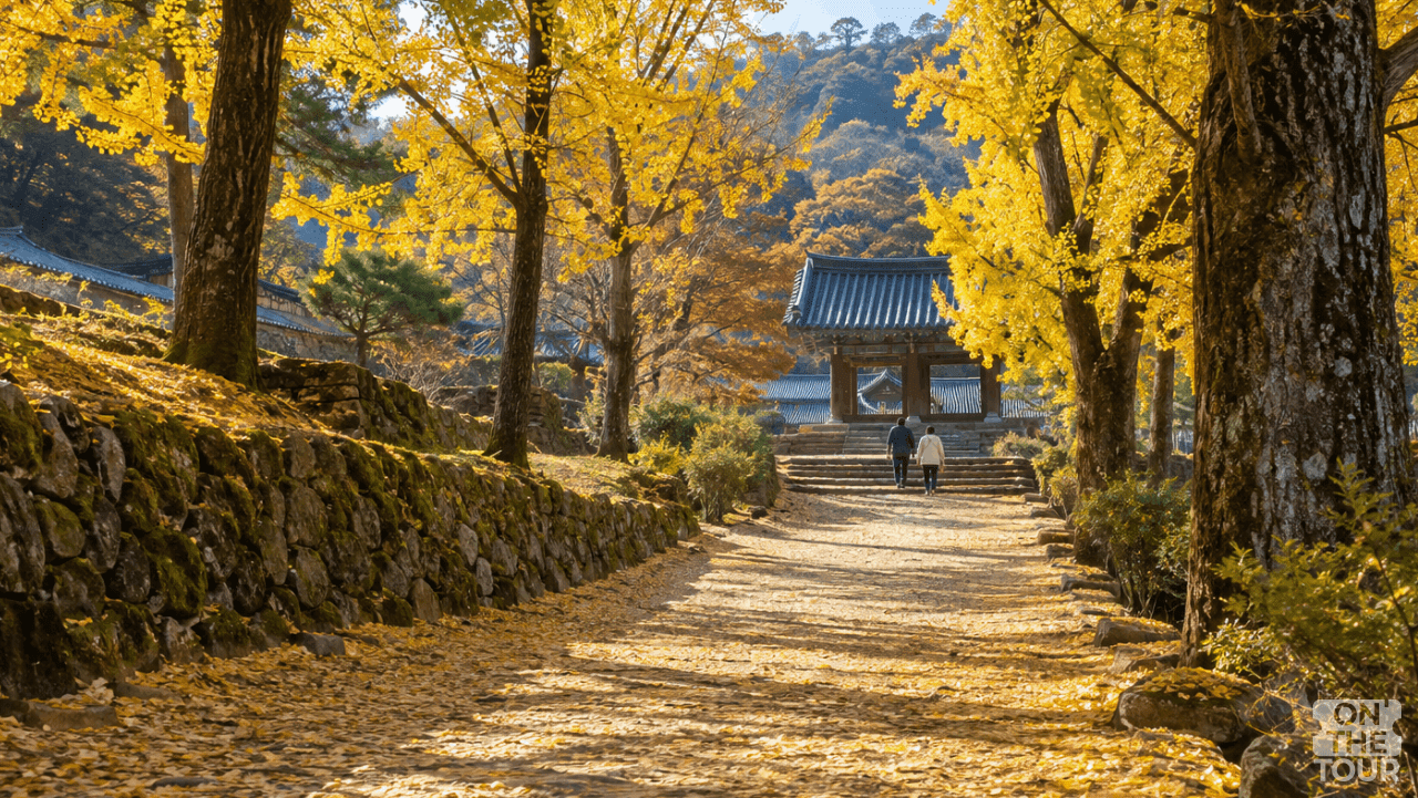 노란 은행잎이 내려앉은 영주 부석사 진입길. (AI 생성) / 온더투어