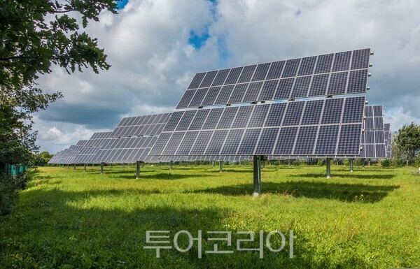 /사진-픽사베이