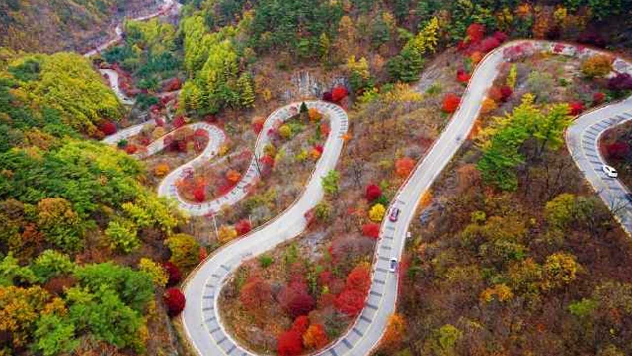 초록빛 산림 사이로 붉은 단풍이 번지기 시작한 보발재 고갯길. / 한국관광콘텐츠랩-김재현