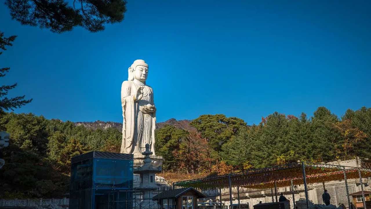 팔공산 자락에 자리한 동화사 통일약사여래대불과 주변 가을 풍경. / 한국불교문화사업단